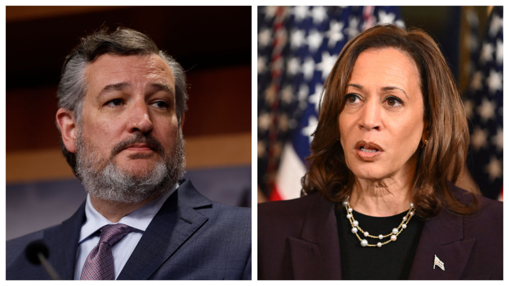 Cruz: Trump Should Spend Rest of Campaign Exposing Harris